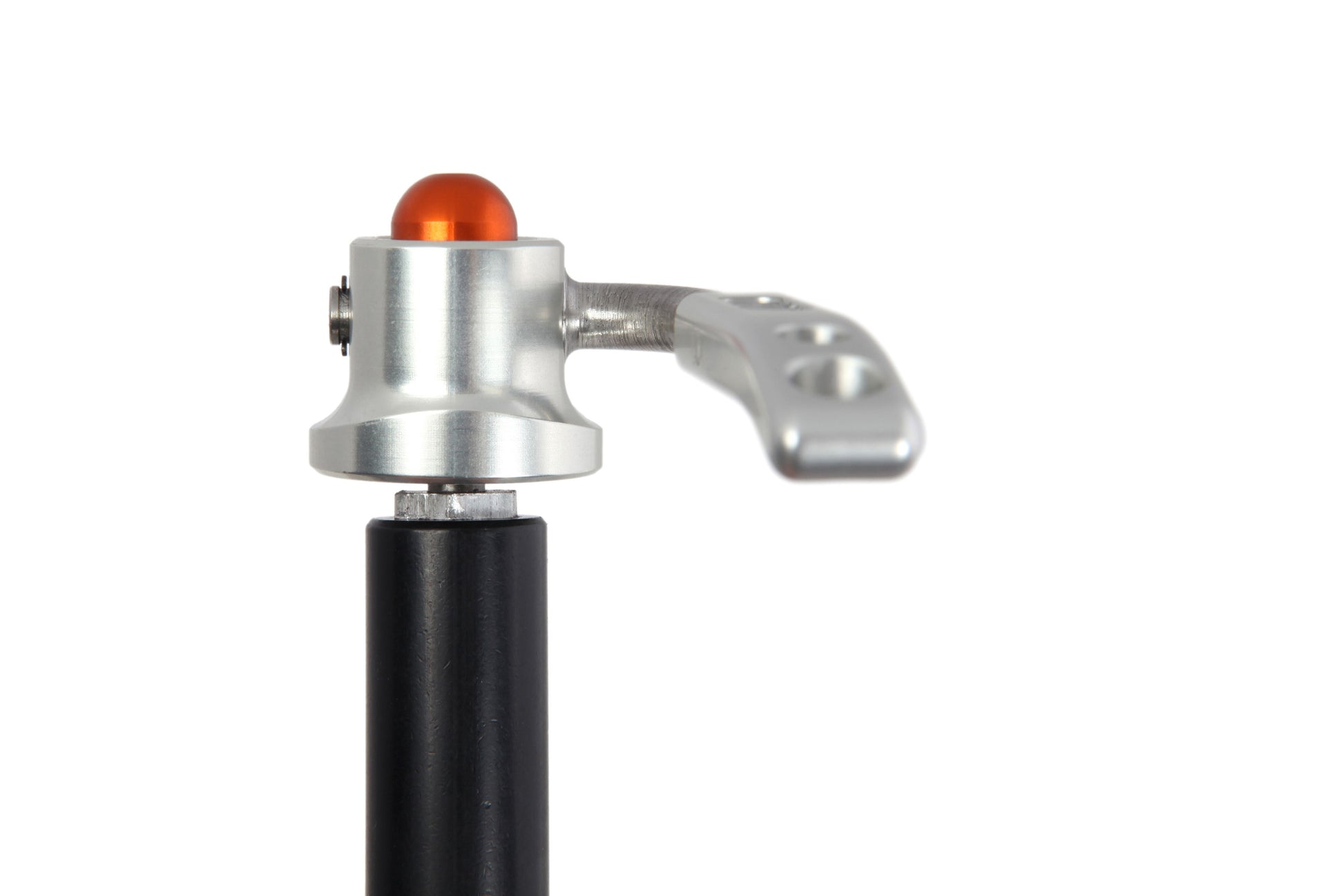 Media PCSK2083_02.jpg