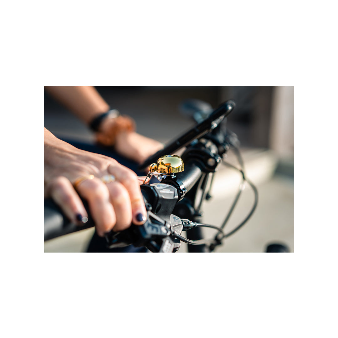 LEZYNE Classic Stainless Brass Fahrradklingel Schwarz