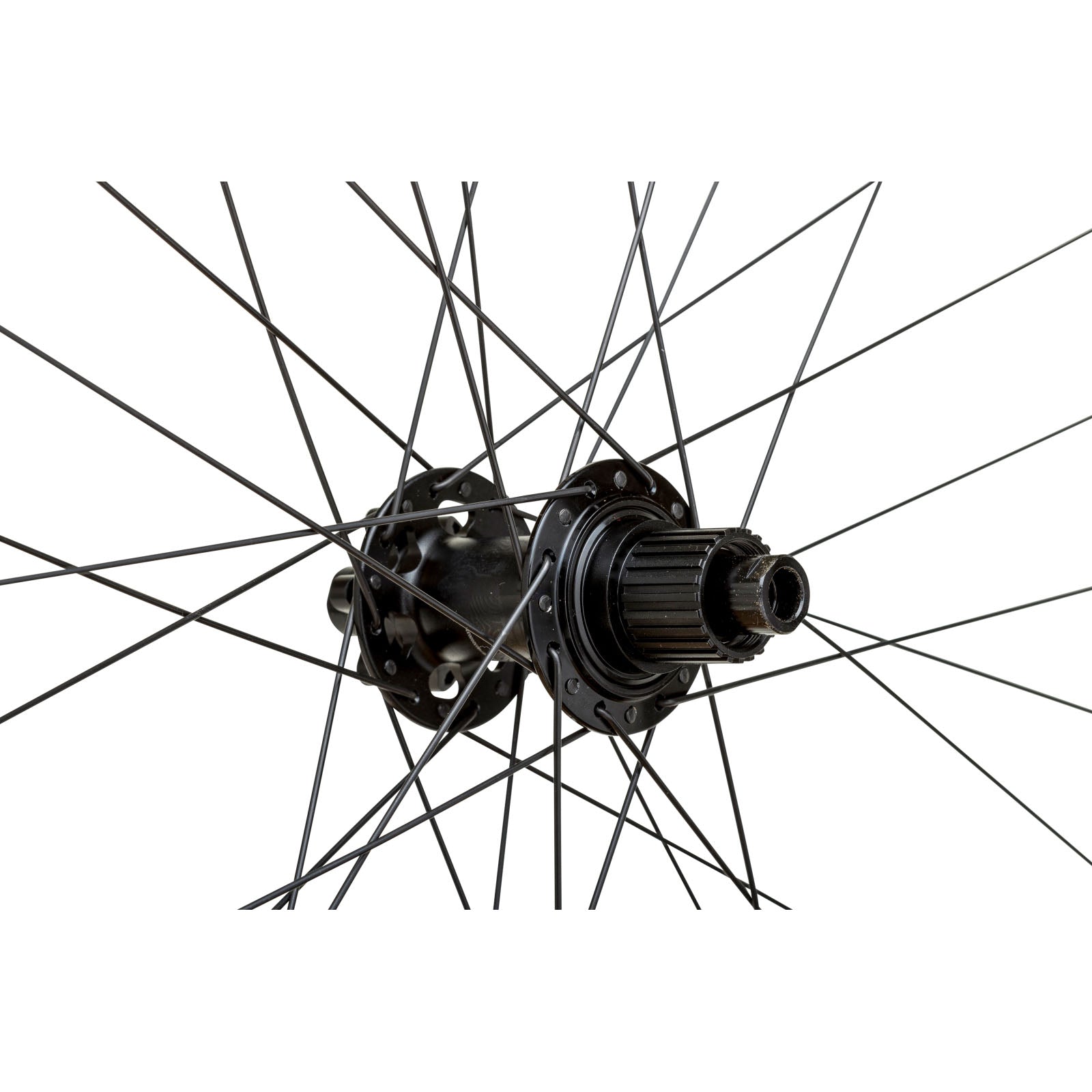 WTB LAUFRAD PROTERRA LIGHT I25 HINTEN