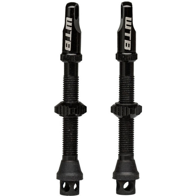 WTB Ventil TCS AL Max-Flow Presta 2 Stück – Tubeless-Ventile aus Aluminium