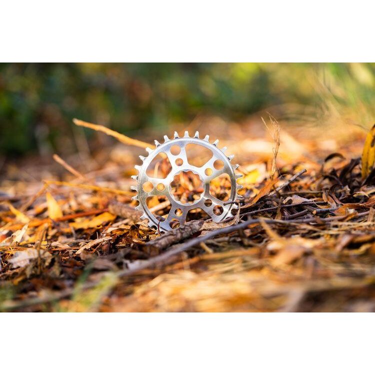 Media CRINGTSRB30_01.jpg