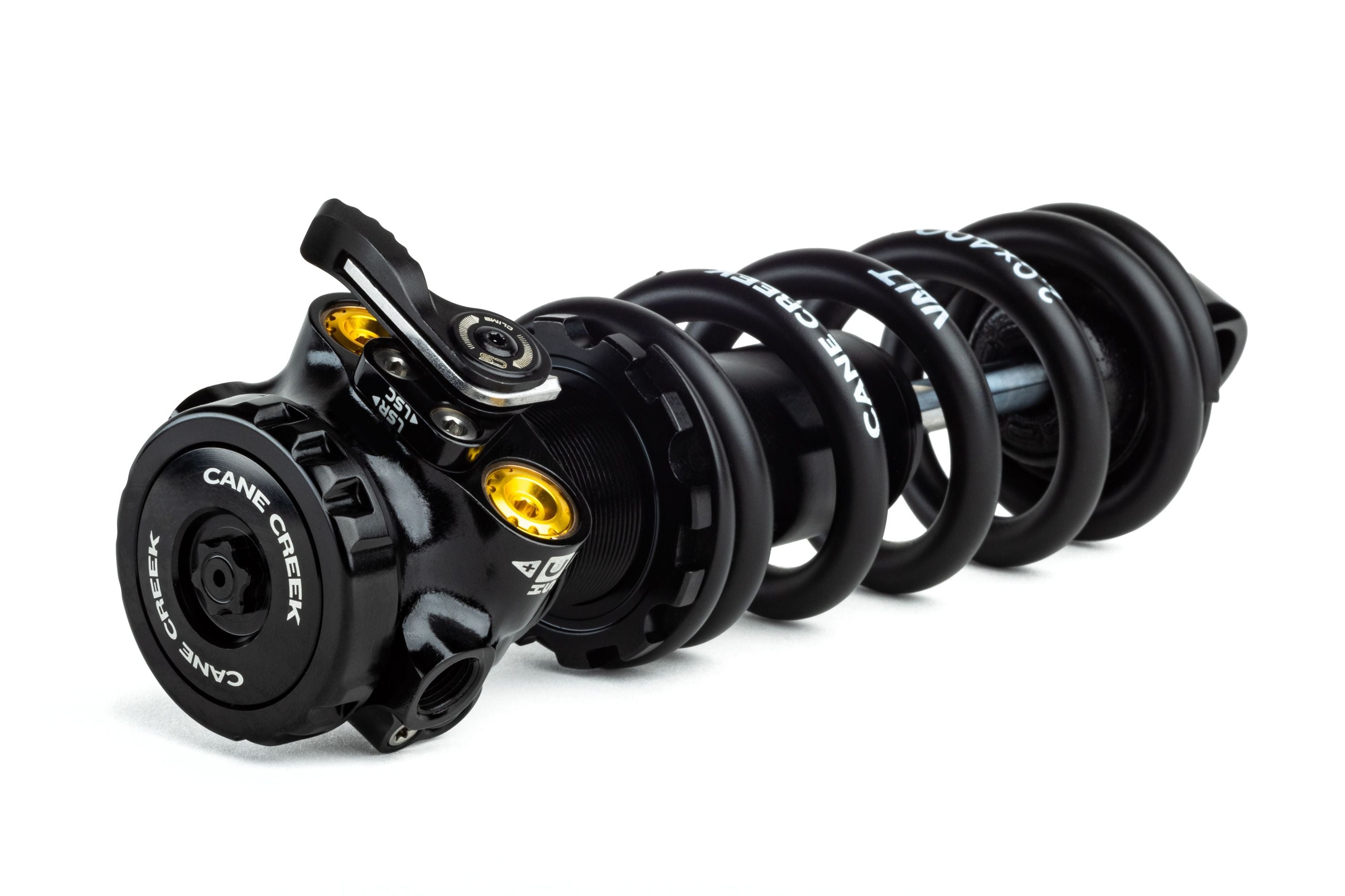 Media BAD2549_02.jpg