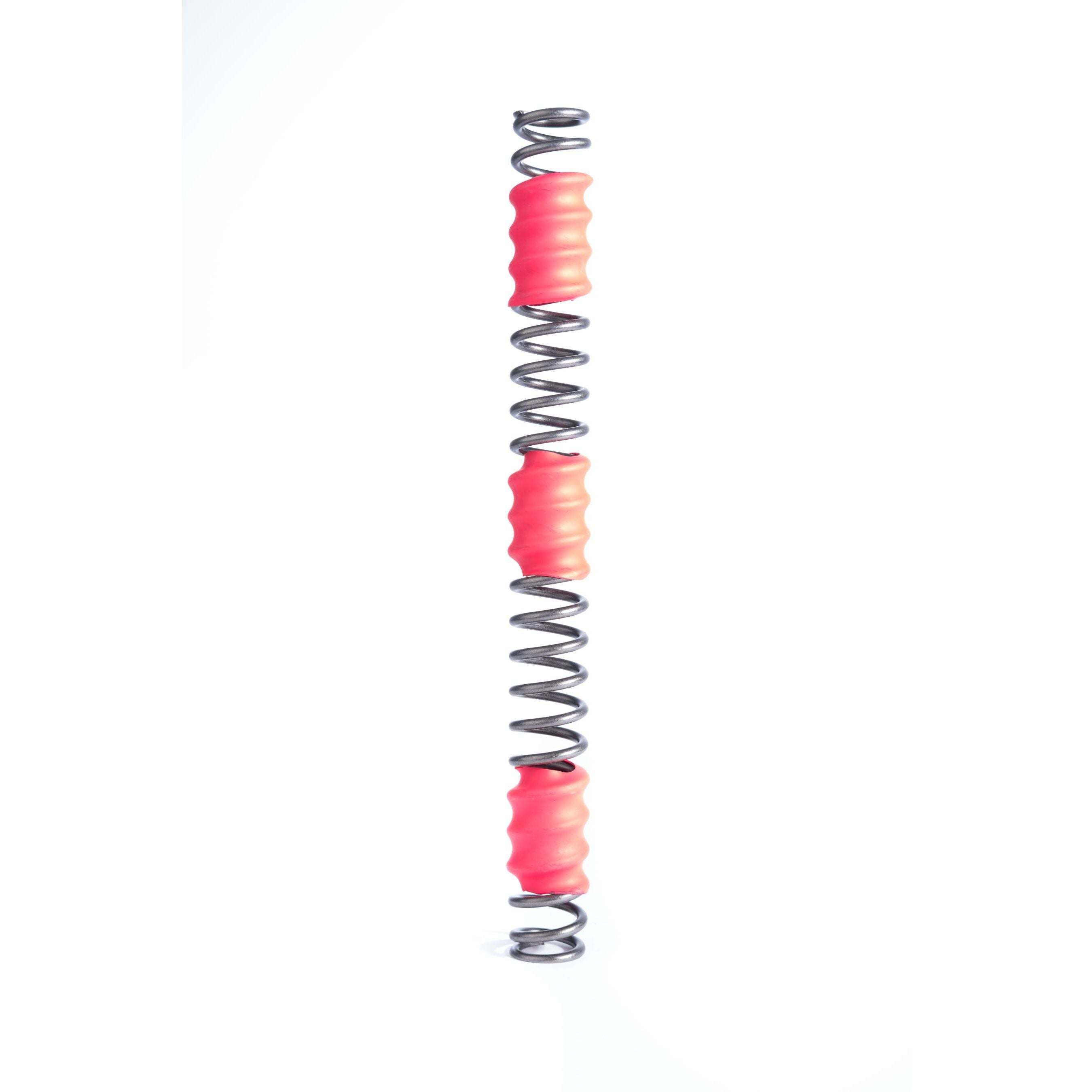 Media AAG0421_01.jpg