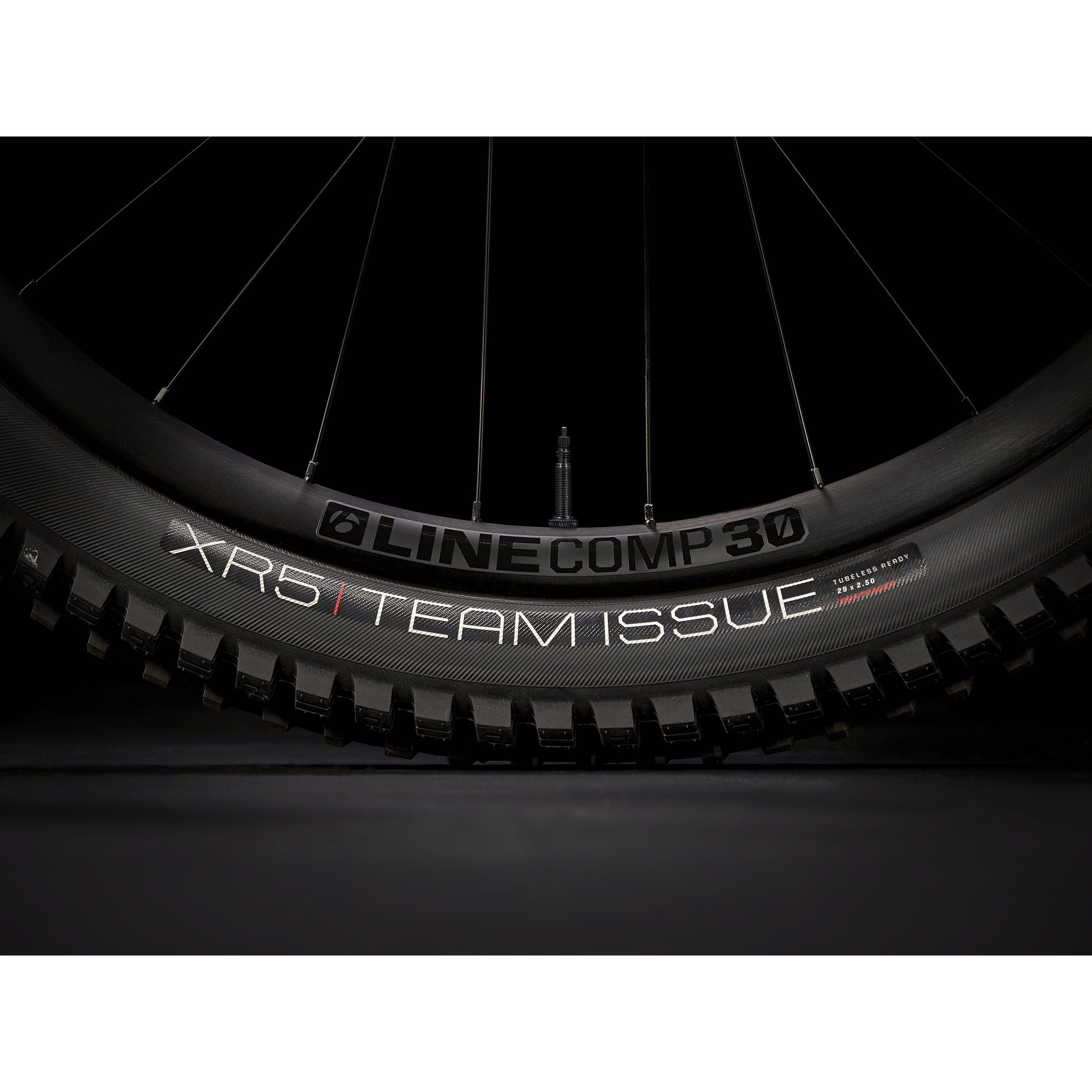 TREK Fuel EX 8 GX AXS ML 29 Matte Keswick