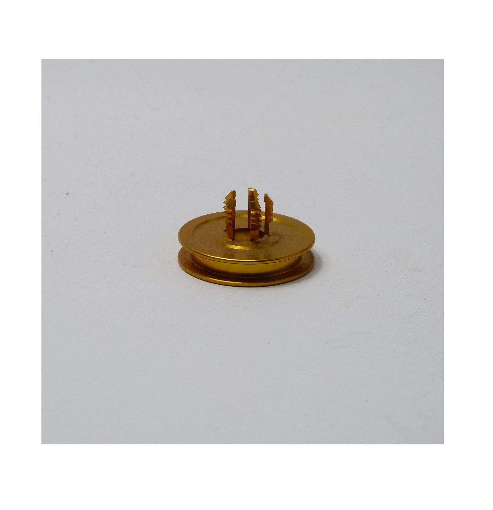 Media AAG0320_01.JPG