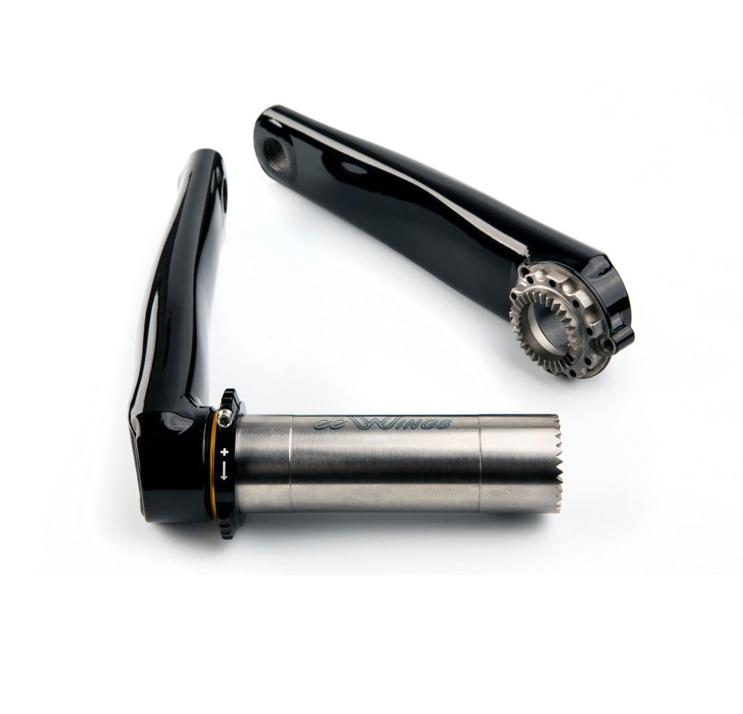 Media BAI0045K_04.jpg