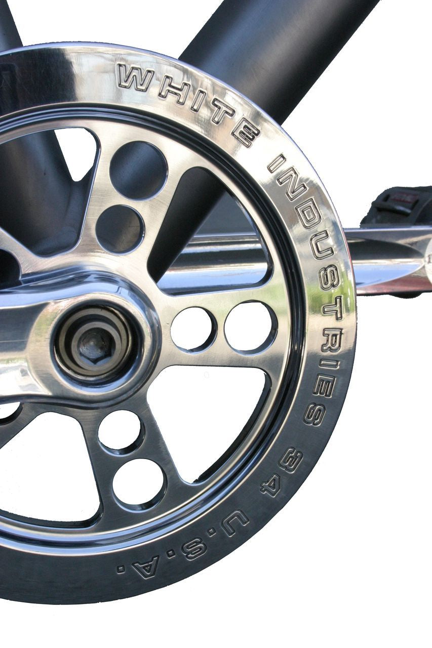 Media CRINGSS34BG_01.jpg