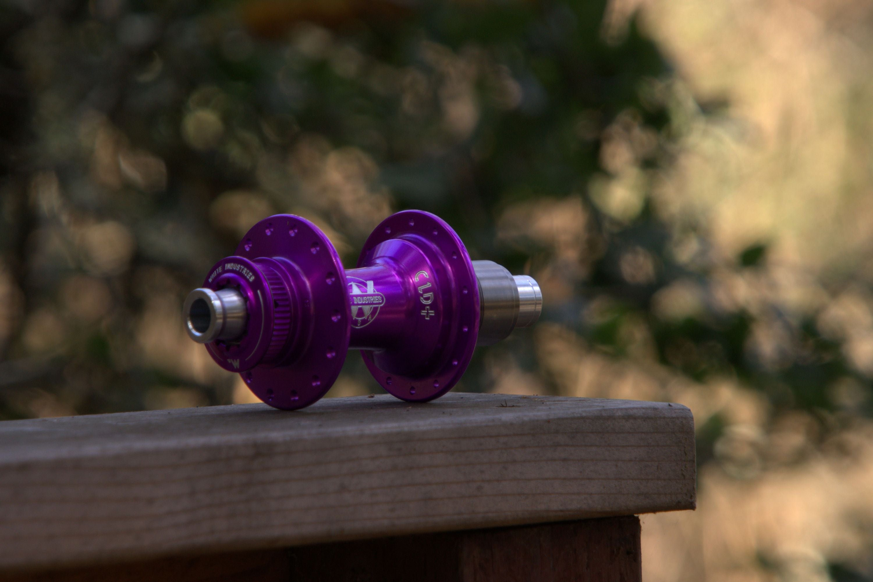 Media LOCKRGICLPP_02.jpg
